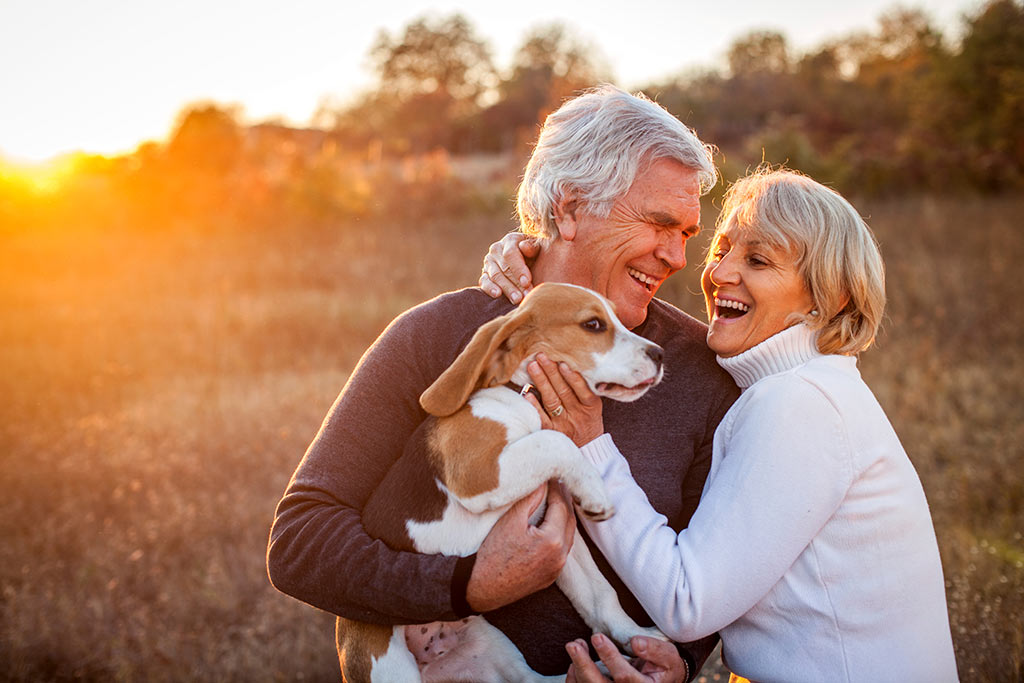 Seniors playing with their dog